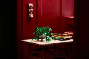 LEGO BOTANICALS 11512 Hanging Dragon Ivy