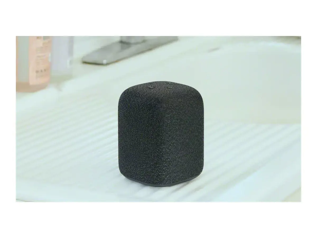 Sony Speaker | SRS-LS1 LinkBuds | Waterproof | Bluetooth | Black | Portable | Wireless connection