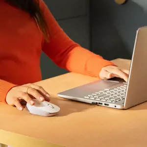 "Logitech M171", dvipusis, optinis, RF belaidis, baltas