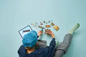 LEGO ONE PIECE 75636 Windmill Village Hut