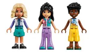 LEGO FRIENDS 42700 Candy and Cupcake Ferris Wheel