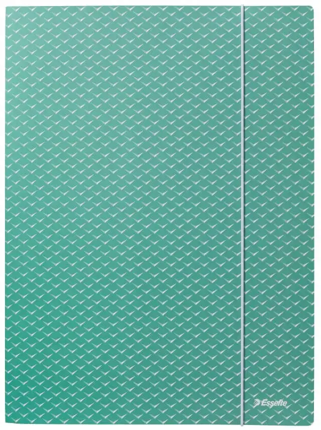 Aplankas dokumentams su gumele Esselte Colour'Breeze, A4, kartoninis, žalia