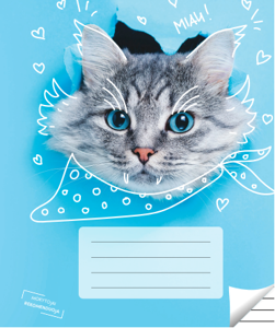 Sąsiuvinis linijomis, 3-4 klasei, 12 lapų. Vidinių lapų gramatūra – 90 g/m2. Su taisyklėmis ir žaid…