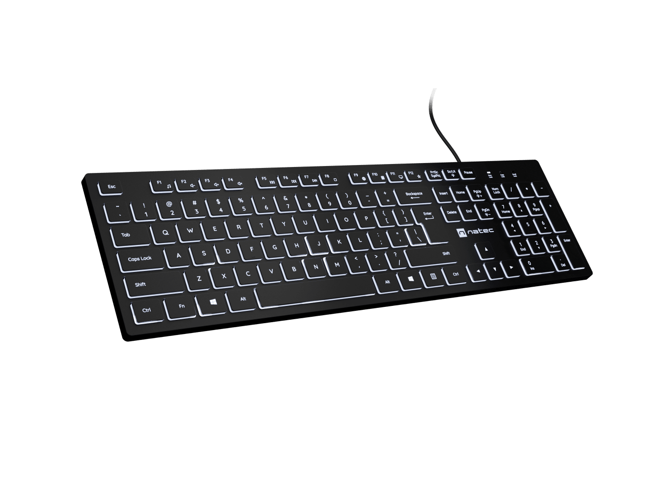 Natec Herring Glow | Keyboard | Wired | US | Black | USB Type-A