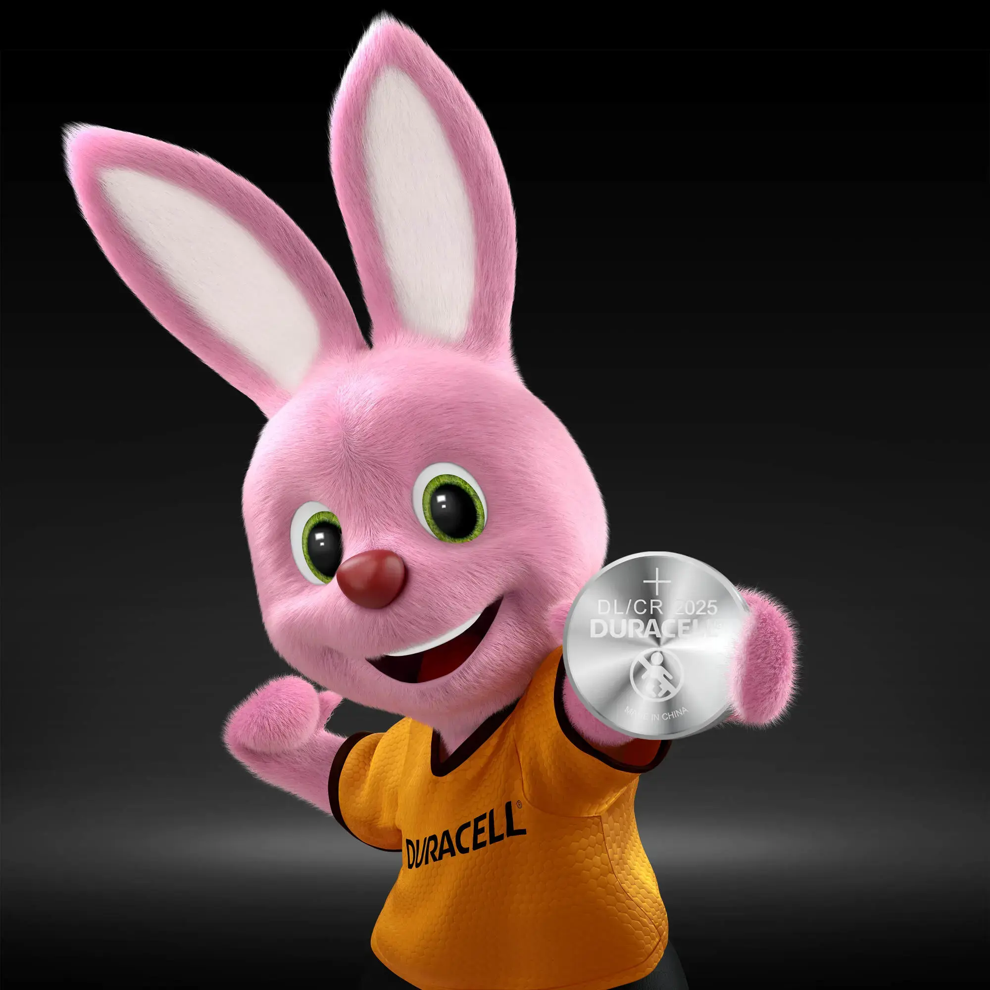 Baterijos DURACELL 2025, 2vnt.