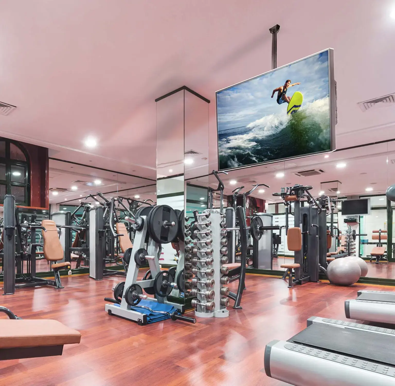 Edbak CMS21, 60 kg, 101,6 cm (40"), 190,5 cm (75"), 600 x 400 mm, Reguliuojamas aukštis, Juoda