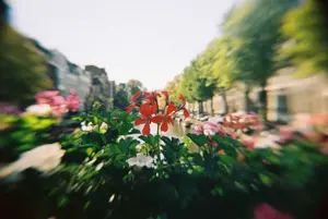 Ilford Pixie 35-II, black