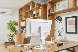 EIZO EV2490EN 23.8" IPS 16:9 1920X1080 USB-C/70W RJ45 KVM (WHITE)