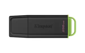 Kingston Technology DataTraveler 256GB Portable USB 3.2 Gen 1 Exodia Black/Green