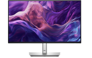 "Dell" 24 monitorius - P2425H, 60,5 cm (23,8") 5 metų garantija