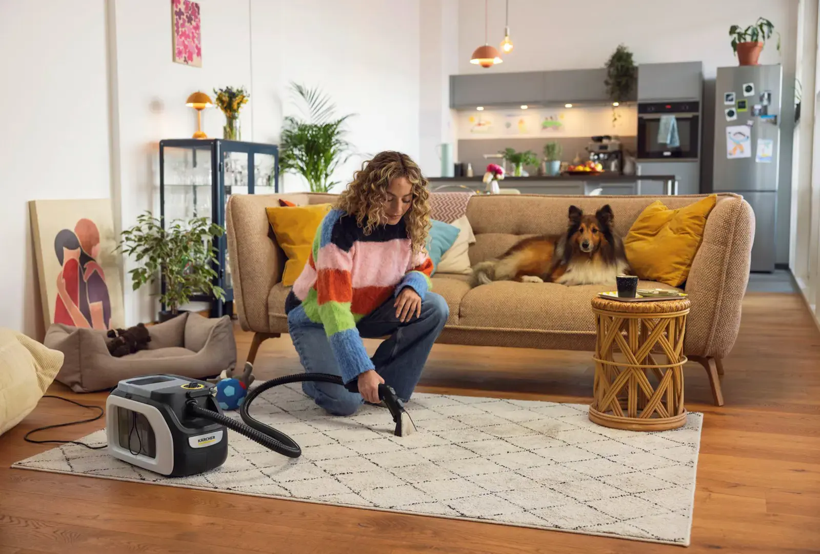 Kärcher 1.081-530.0 vacuum 2.9 L Cylinder vacuum Dry&wet 500 W Bagless
