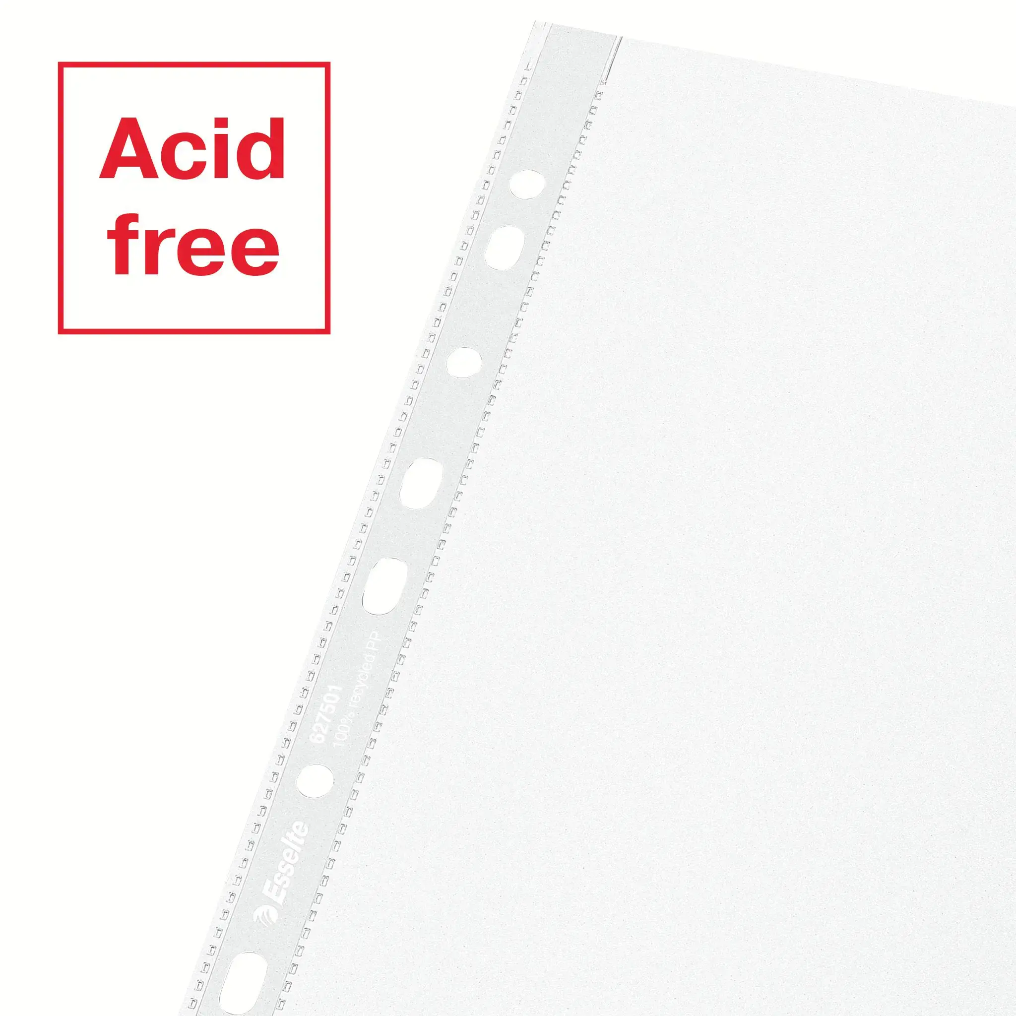 Įmautės dokumentams ESSELTE, A4, 100 mikr.,(pak. -50 vnt.), ekologiškos, matinės