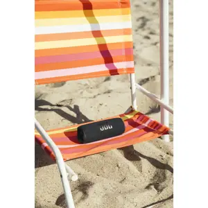 JBL kõlar Flip 6, salė