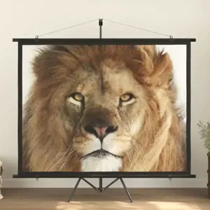 Projektoriaus ekranas, 100", 4:3