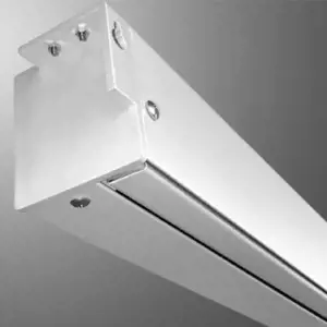 Elektrinis ekranas Video Electric 300P / 4:3 / 290x217,5cm / Matinis baltas