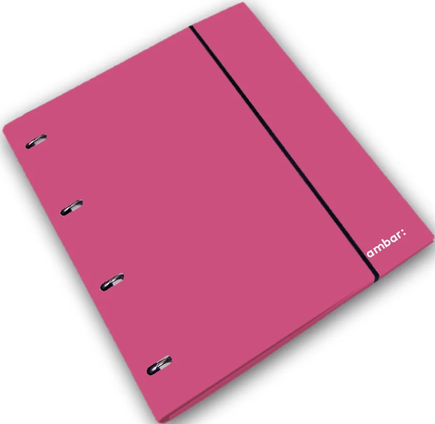 A4 Ringbinder 4R Ref+Div Ambar school