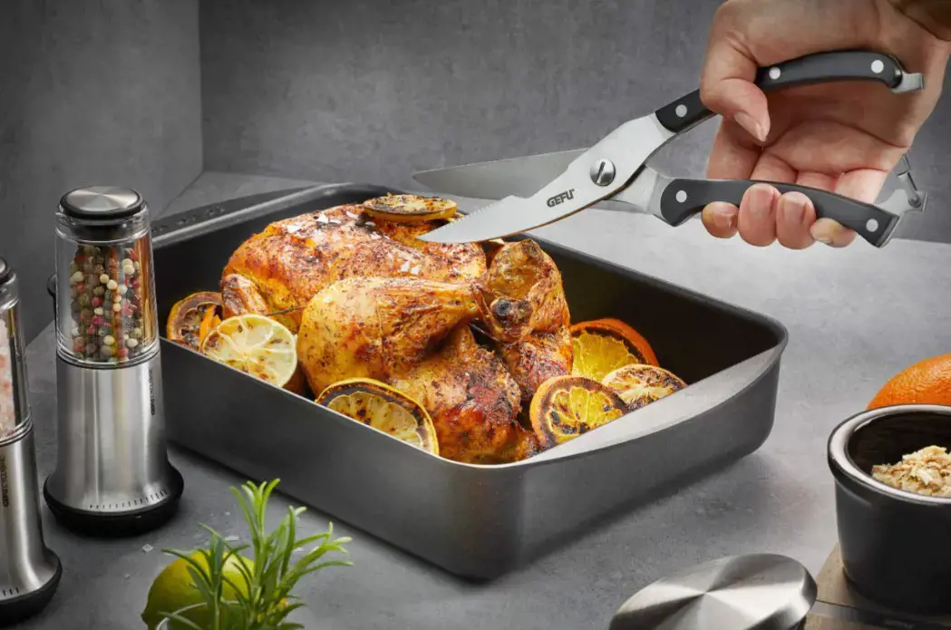 GEFU paukštienos žirklės VIGO G-12620