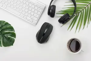 ESPERANZA EM101K - 5905784766980 ANTARES Belaidė pelė Optinė USB NANO išvestis 2,4 GHz