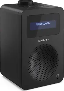 Sharp DR-430, asmeninis, skaitmeninis, DAB, DAB+, FM, 5 W, AAC, LCD