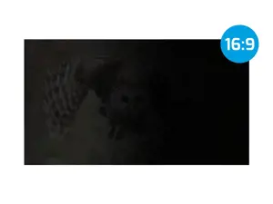 "NATEC" privatumo filtras "Owl" 13,3 colių 16:9