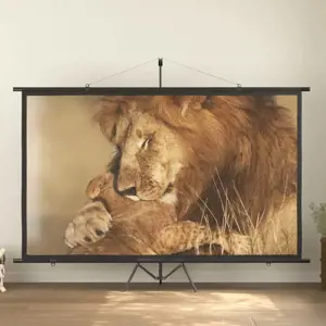 Projektoriaus ekranas su trikoju, 120", 16:9