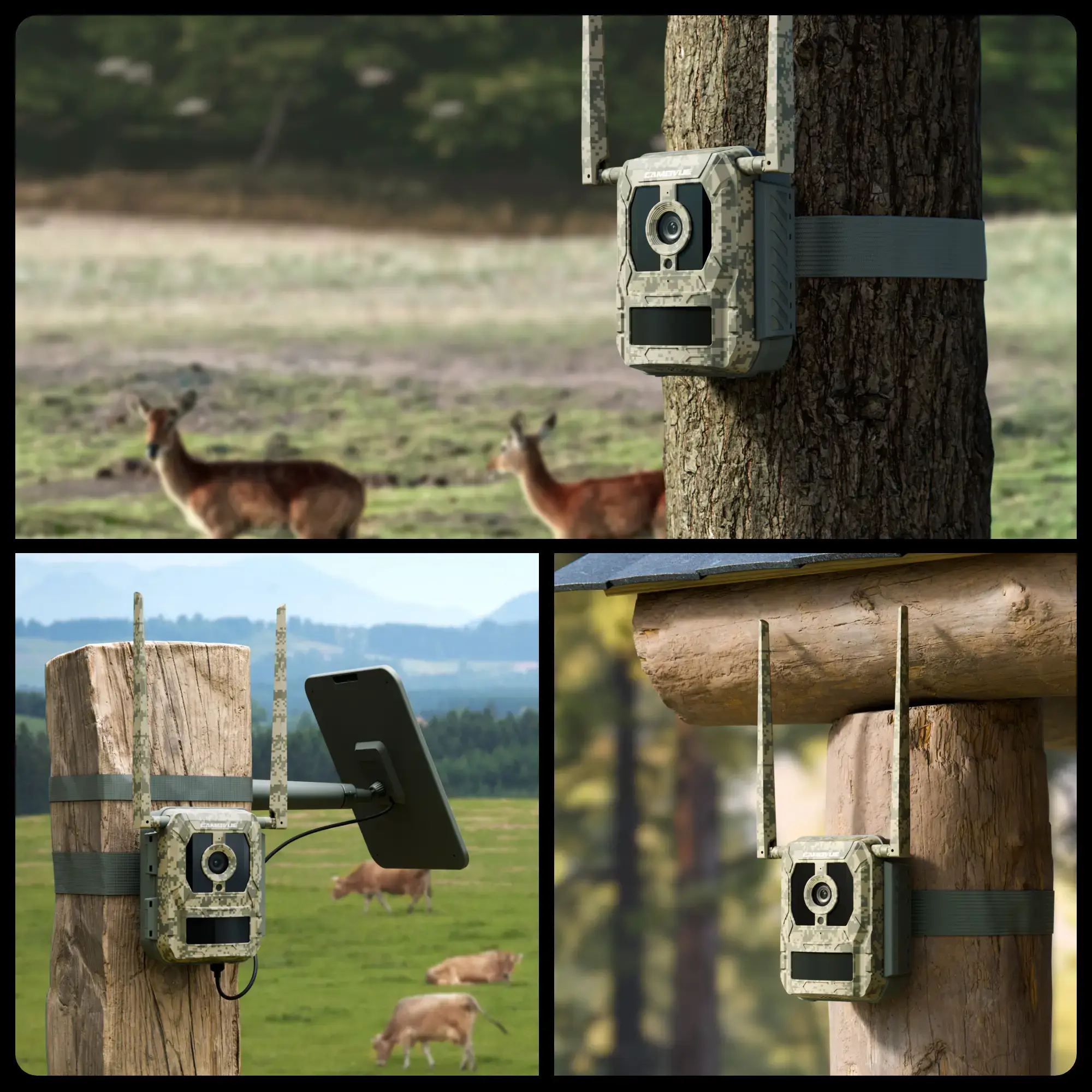 Reolink | 4K 4G Cellular Trail Camera with Live Streaming | Talon Series S130 | Trail | 8 MP | 4mm/F1.6 | IP67 | H.265 | MicroSD Card, up to 256 GB
