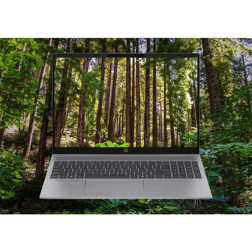 HP OmniBook 5 16-bc1019nw Ryzen 7 8840U 16.0"2K IPS 300nits AG 16GB LPDDR5X SSD512 Radeon 780M Cam1080p 59Wh NoOS Glacier Silver 2Y