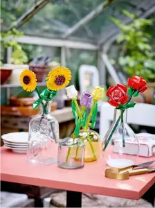 LEGO 40524 SAULĖGRĄŽOS