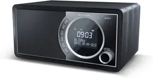 Sharp DR-450, asmeninis, skaitmeninis, DAB, DAB+, FM, 87,5 - 108 MHz, 174,928 - 239,2 MHz, 3 W
