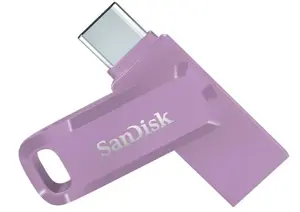 MEMORY DRIVE FLASH USB-C 256GB/SDDDC3-256G-G46L SANDISK