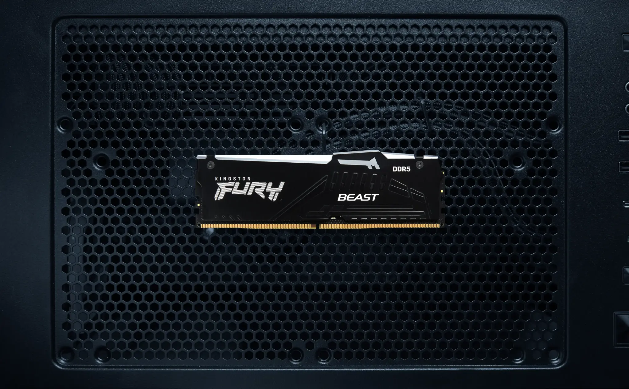 Kingston Technology FURY Beast 32GB 6400MT/s DDR5 CL32 DIMM (Kit of 2) RGB EXPO, 32 GB, 2 x 16 GB, DDR5, 288-pin DIMM, Black