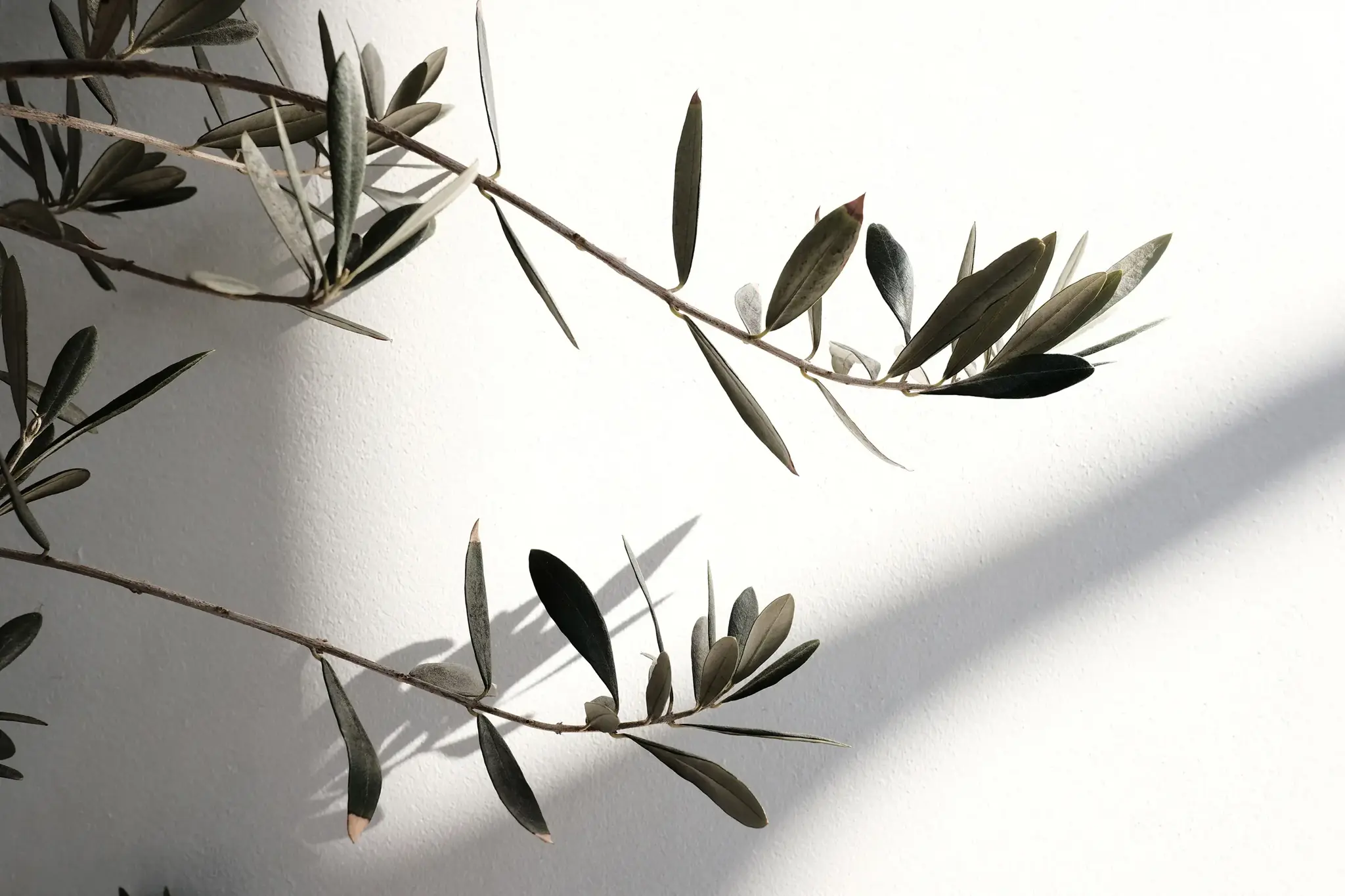 FUJIFILM FUJINON XF 16mm F2.8 R WR(Juodas)