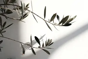 FUJIFILM FUJINON XF 16mm F2.8 R WR(Juodas)