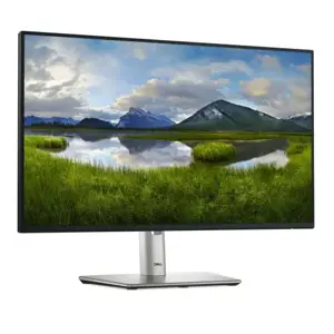 Dell P Series P2425H Monitorius 24'' IPS FHD 1920x1080, 8 ms, 250 cd/m2, 100 Hz, Silver/Black (SPEC)