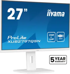 27’’ QHD IPS technology panel with USB-C dock and RJ45 (LAN)