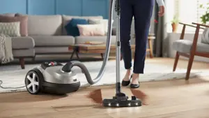 Philips Performer  8000 Series Bagged vacuum cleaner XD8152/12, 900W, TriActive