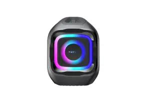Havit SK910BT - 100W wireless Bluetooth speaker (black)