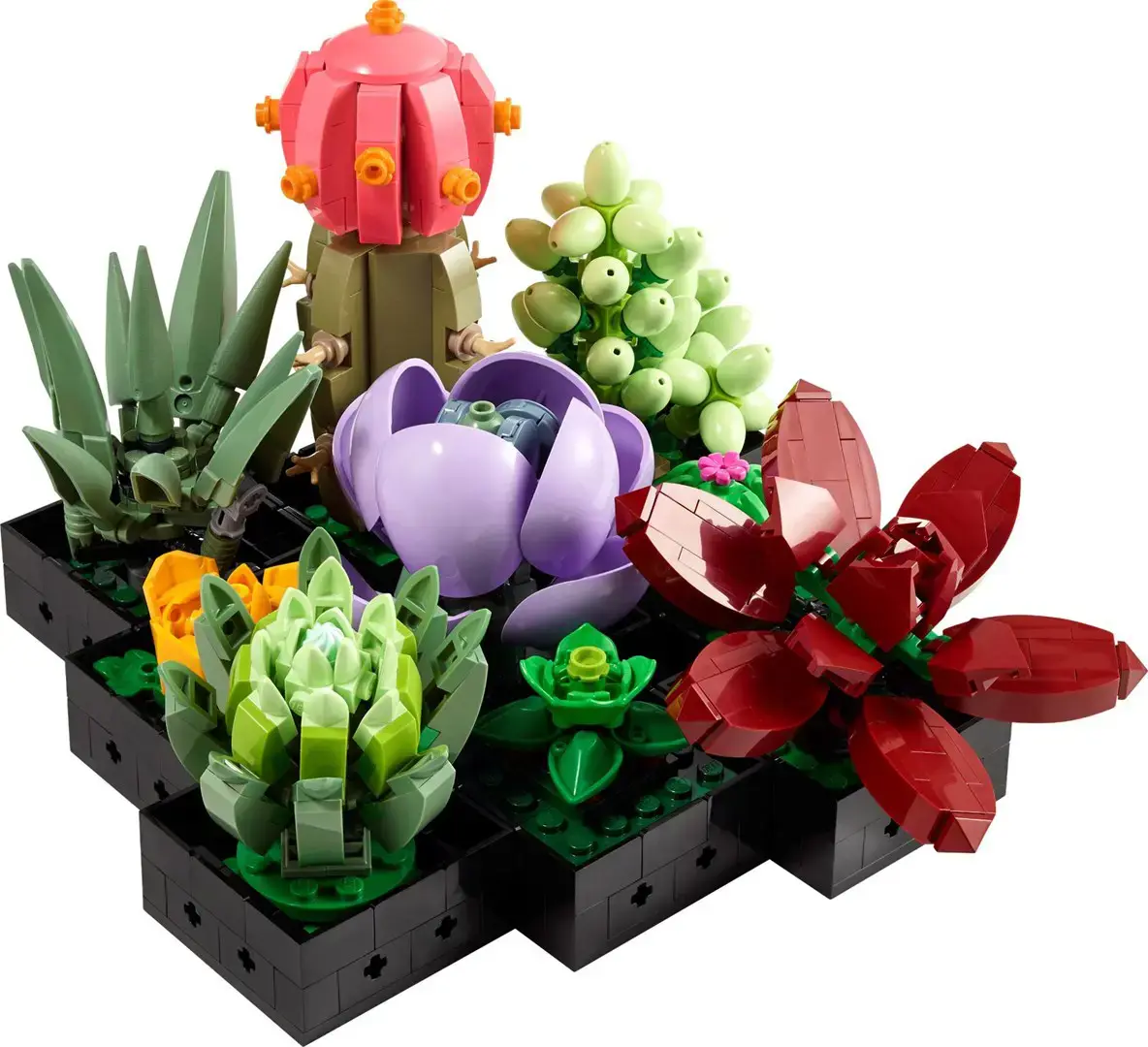 LEGO IKONOS 10309 SUKULENTAI