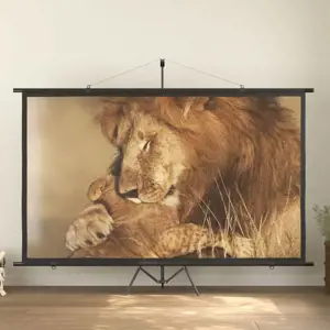 Projektoriaus ekranas, 120", 16:9