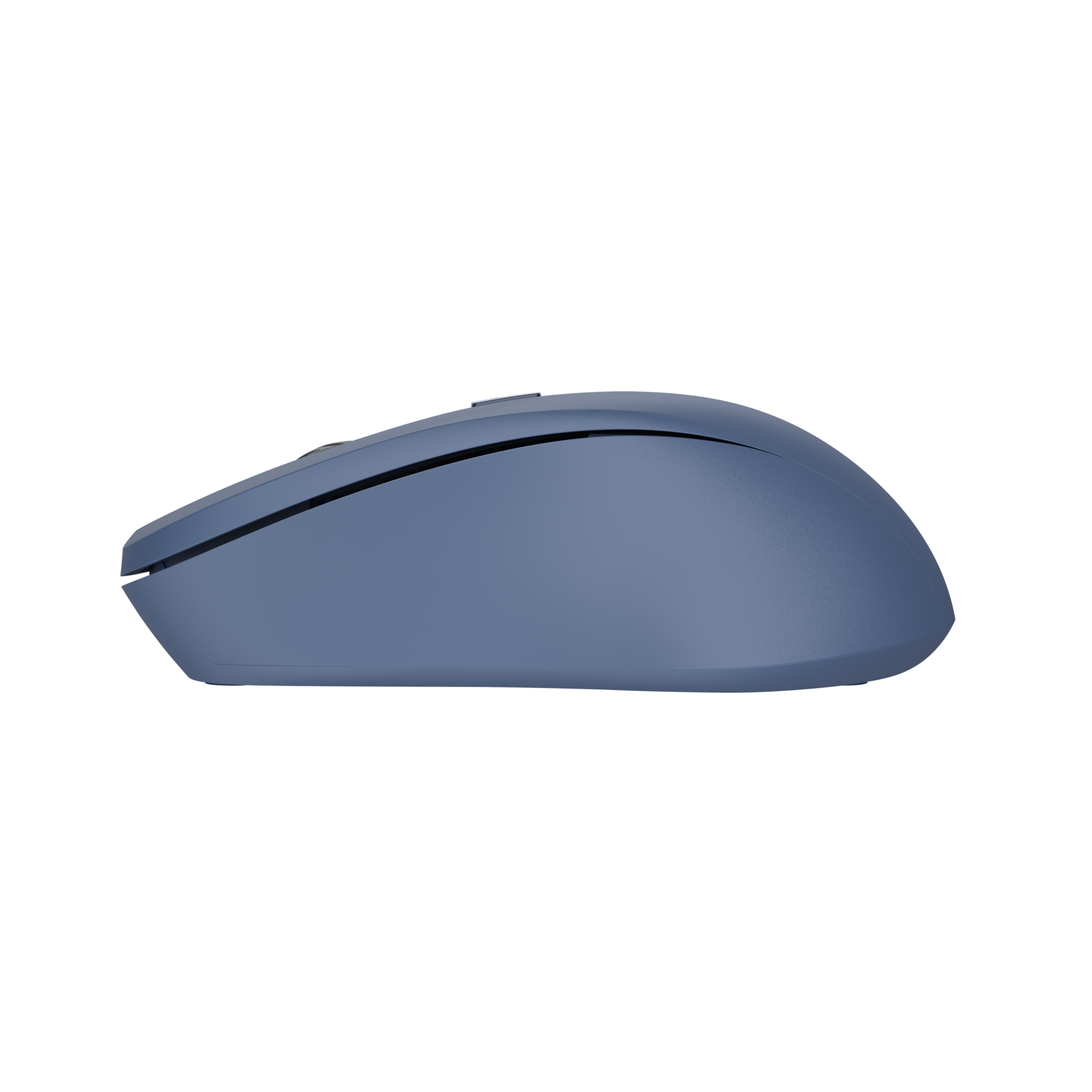 Trust Mydo, Ambidextrous, Optical, RF Wireless, 1800 DPI, Blue