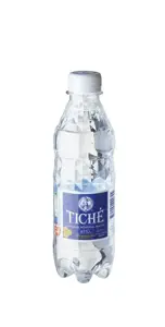 Negazuotas natūralus mineralinis vanduo TICHĖ, 0,33 l, PET D