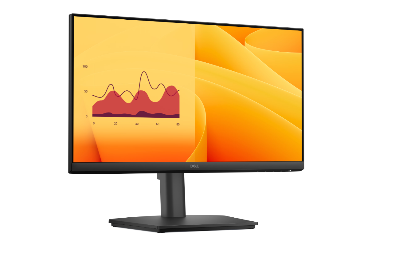Dell Pro 22 Adjustable Stand Monitor - E2225HSM