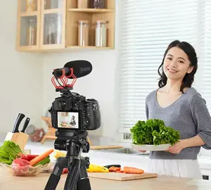 BOYA BY-BM2040 MICROPHONE