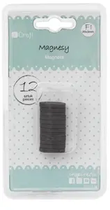 Magnetukai 20x3mm 12vnt