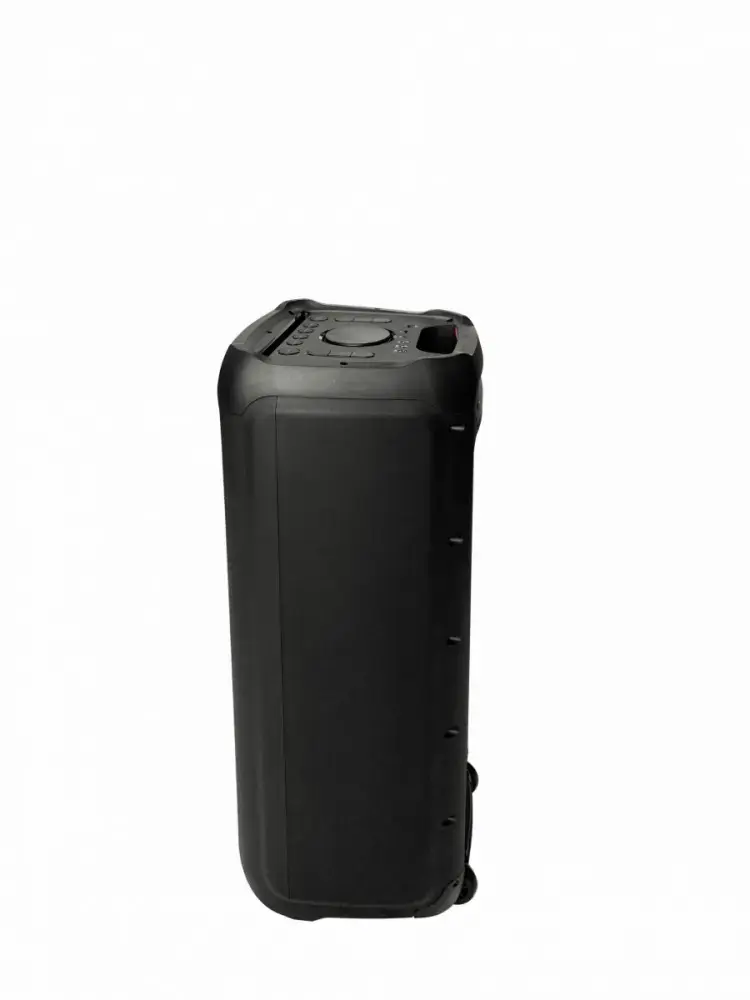 PartyBox Blaupunkt PB10DB (Bluetooth ir karaokė)