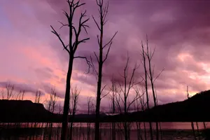 Fujifilm Fujinon XF 16mm F1.4 R WR