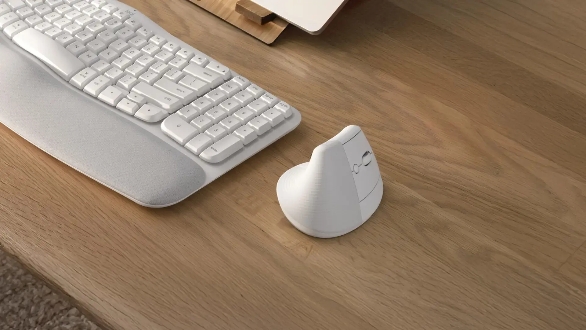 "LOGITECH LIFT" - BALTOS/ŠVIESIAI PILKOS SPALVOS - EMEA