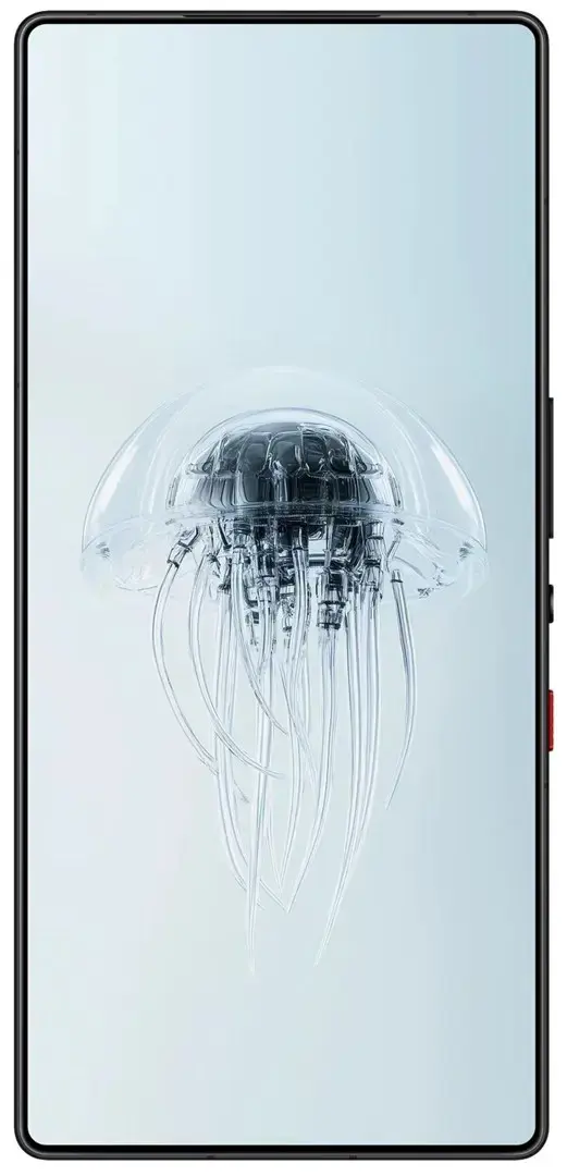 Smartphone REDMAGIC 10 Pro 5G 12/256GB Shadow