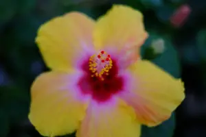 Objektyvas Fujifilm FUJINON XF35mm F1.4 R