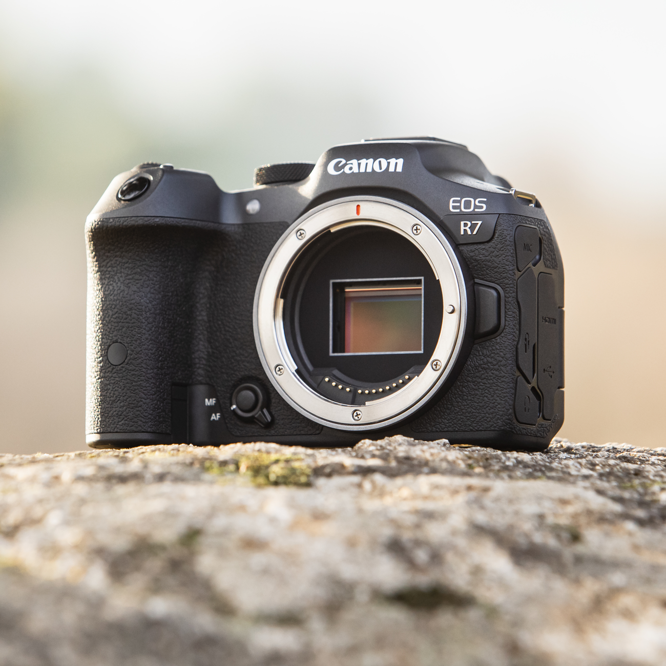 Canon EOS R7, 32.5 MP, 6960 x 4640 pixels, CMOS, 4K Ultra HD, 530 g, Black